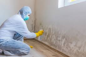 Best Real Estate Mold Inspection  in Frankfort, IL